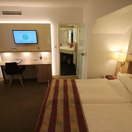 Hotel Zum Adler 3*