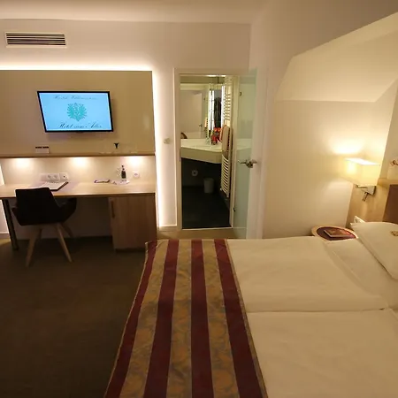 Hotel Zum Adler 3*