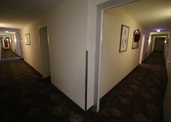 酒店 阿德勒高级酒店