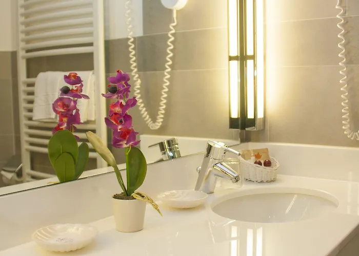 阿德勒高级酒店 3*